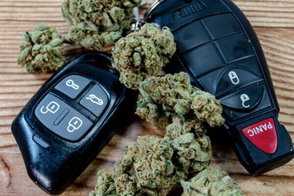 driving and cannabis paramount