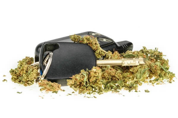 drug driving limit cannabis gardena